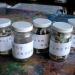 School Donation Jars